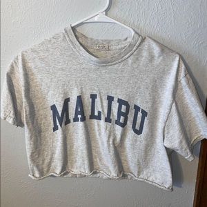 pacsun crop tee